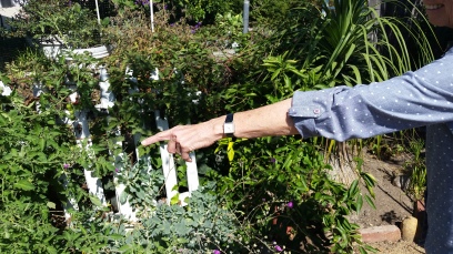 One Finger Gardening